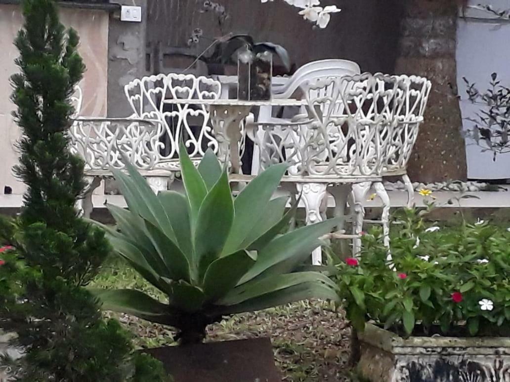 Hospedagem Lagoinha Ubatuba Dış mekan fotoğraf